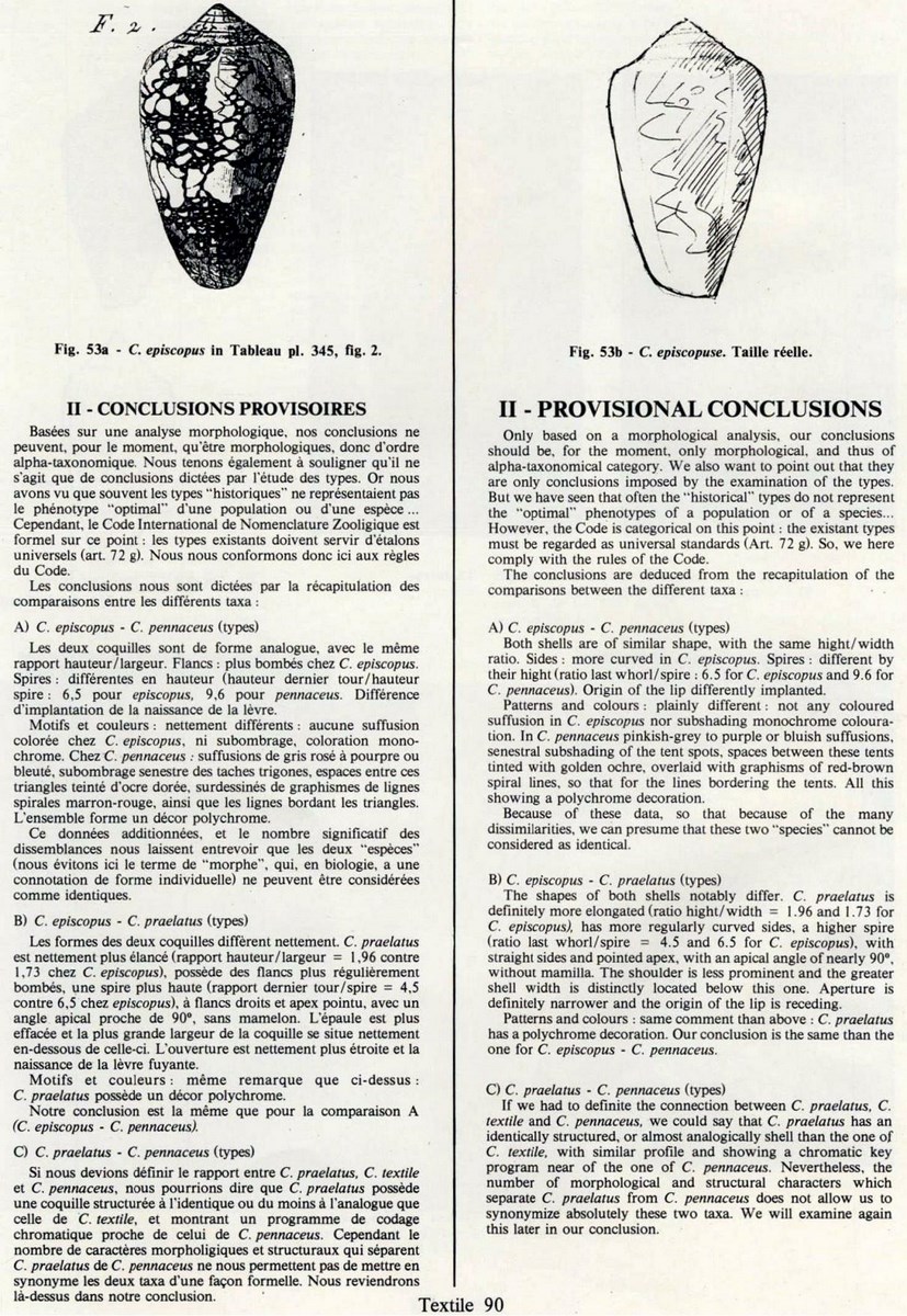 Conus praelatus